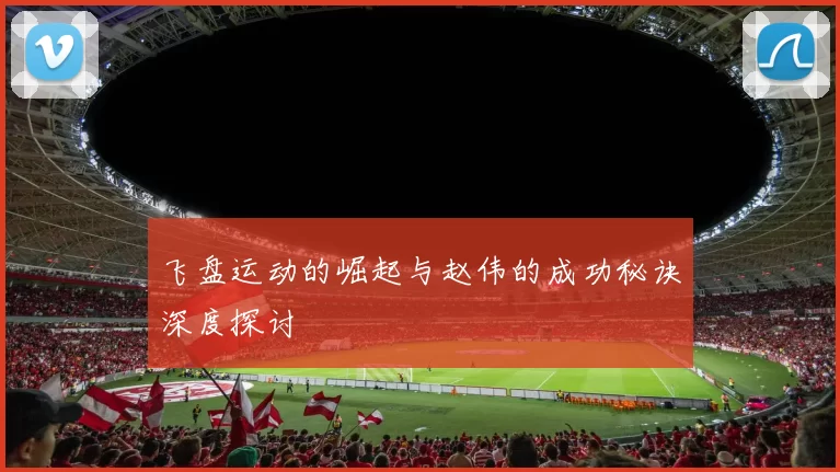 飞盘运动的崛起与赵伟的成功秘诀深度探讨