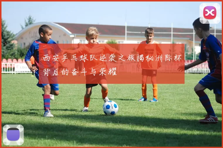 西安乒乓球队逆袭之旅揭秘洲际杯背后的奋斗与荣耀