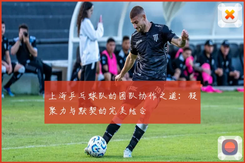 上海乒乓球队的团队协作之道：凝聚力与默契的完美结合