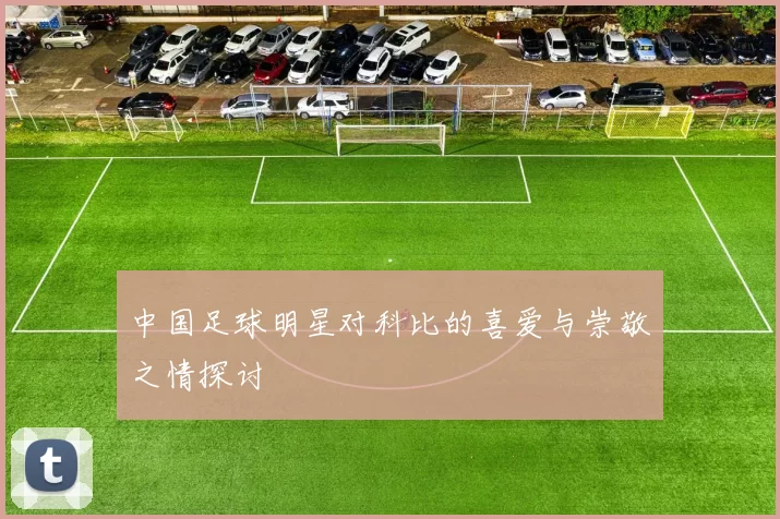 中国足球明星对科比的喜爱与崇敬之情探讨