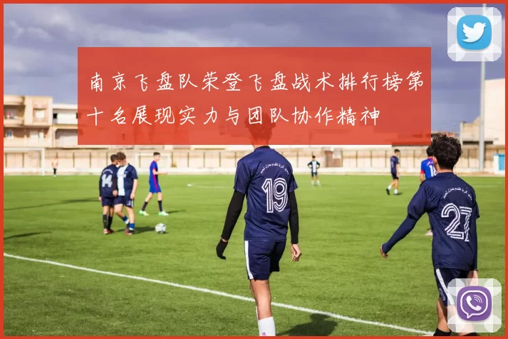 南京飞盘队荣登飞盘战术排行榜第十名展现实力与团队协作精神