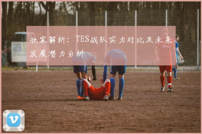 独家解析：TES战队实力对比及未来发展潜力分析