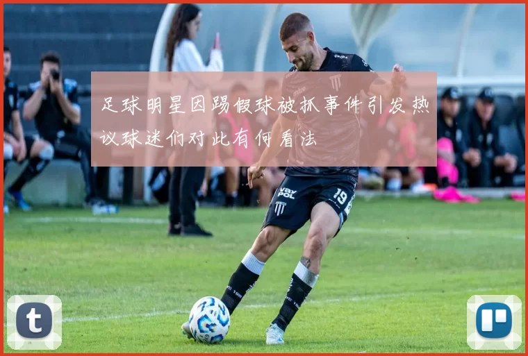 足球明星因踢假球被抓事件引发热议球迷们对此有何看法
