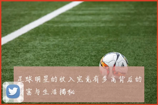 足球明星的收入究竟有多高背后的财富与生活揭秘