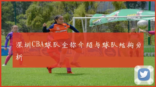 深圳CBA球队全称介绍与球队结构分析