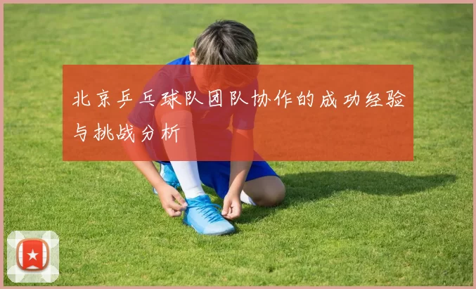 北京乒乓球队团队协作的成功经验与挑战分析