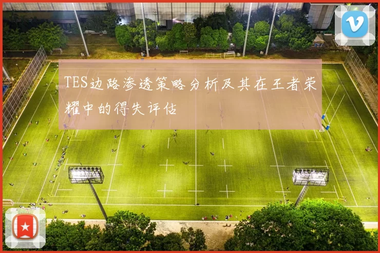 TES边路渗透策略分析及其在王者荣耀中的得失评估